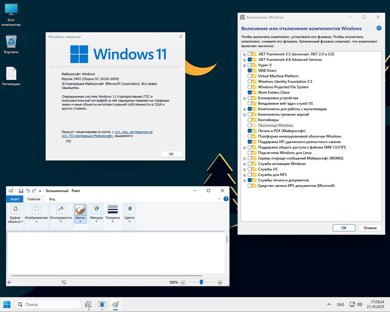 Windows 11 24H2 x64 Enterprise LTSC torrent